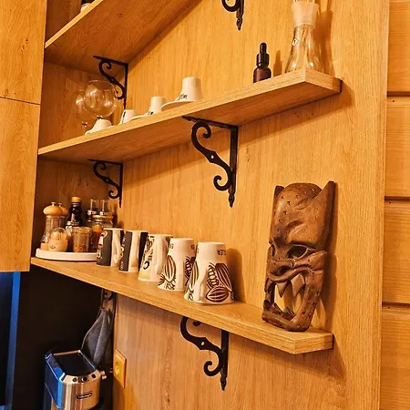 In Out Kosara Апартаменты Банско