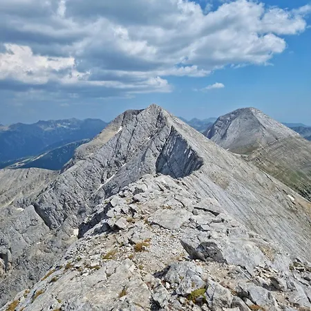 In Out Kosara 4* Банско