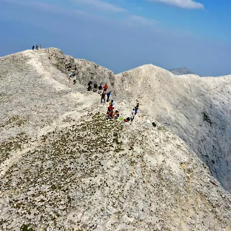 Апартаменты In Out Kosara Банско