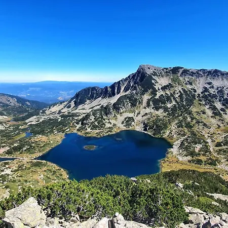 Апартаменты In Out Kosara