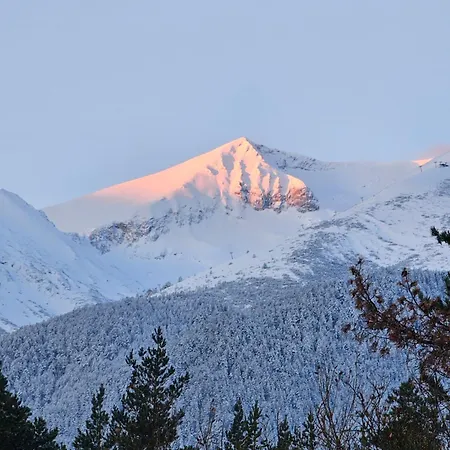 In Out Kosara Апартаменты Банско