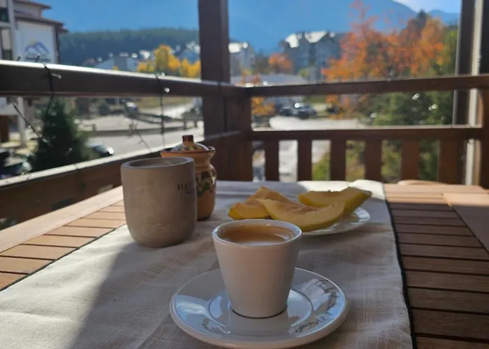 In Out Kosara Apartamento Bansko