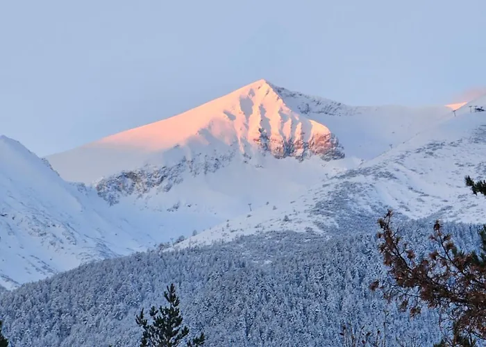In Out Kosara Apartamento Bansko